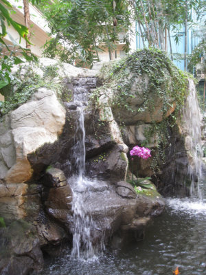Waterfall in the Atrium