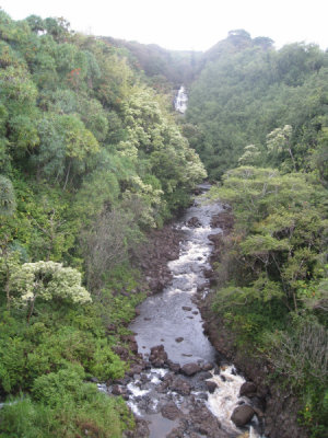 Another spectacular waterfall