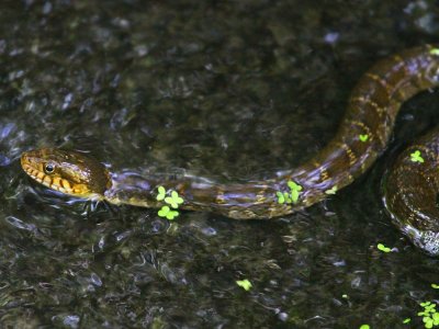 IMG_4356.JPG