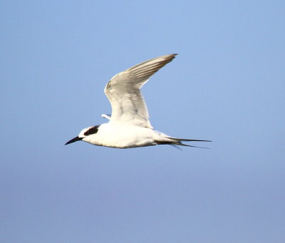 IMG_6759.JPG