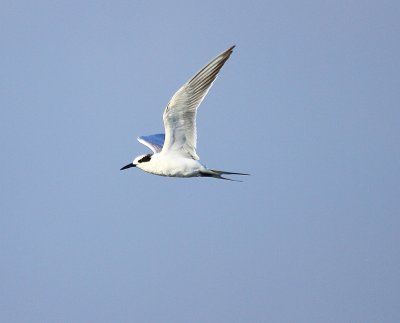 IMG_6778.JPG
