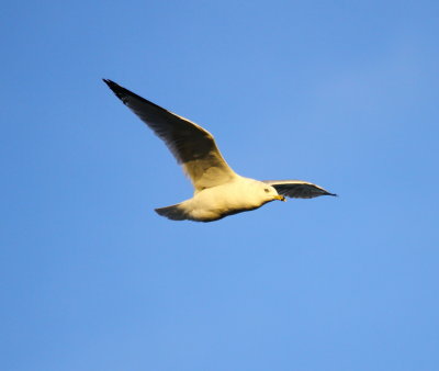 IMG_7469.JPG
