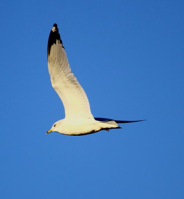 IMG_8400.JPG