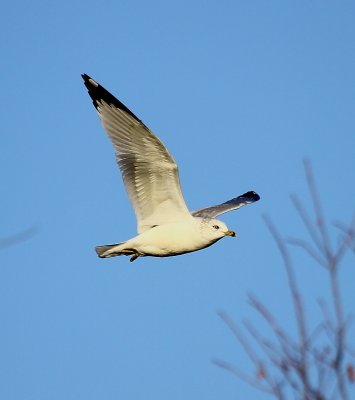 IMG_8404.JPG