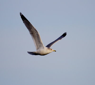 IMG_9356.JPG