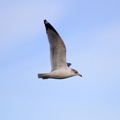 IMG_9359.JPG