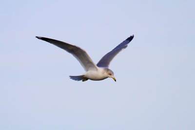 IMG_9374.JPG