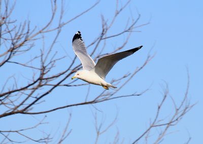 IMG_9793.JPG