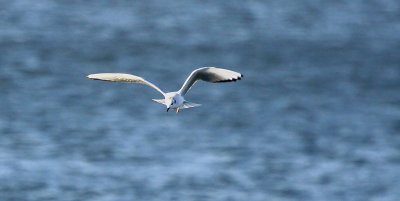 IMG_9986.JPG
