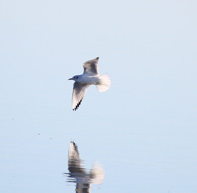 IMG_0159.JPG