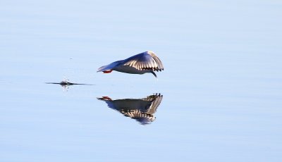 IMG_0172.JPG
