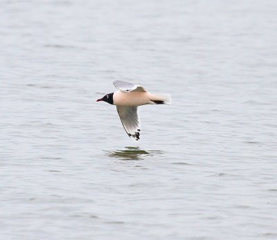 IMG_0719.JPG
