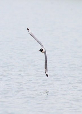 IMG_0735.JPG