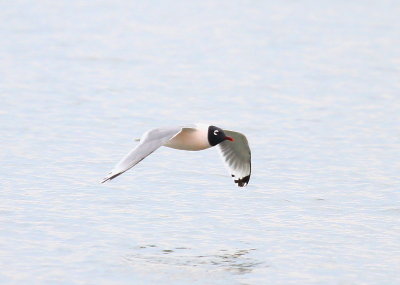 IMG_0776.JPG