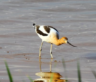 IMG_1396.JPG