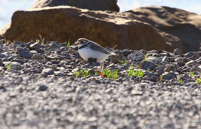 IMG_1572.JPG
