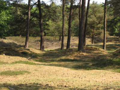 Gasterse duinen
