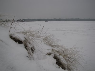 Kootwijkerzand