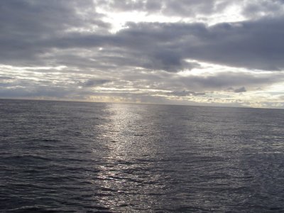 g4/38/989538/3/135602120.d77NbO5t.jpg