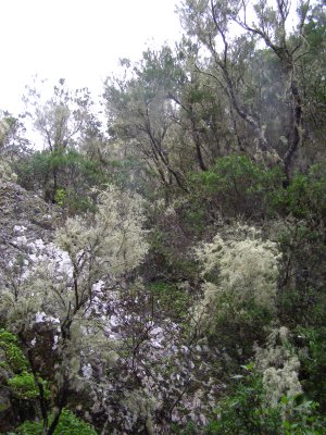 La Gomera