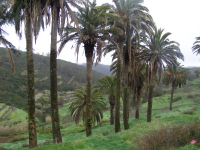 La Gomera