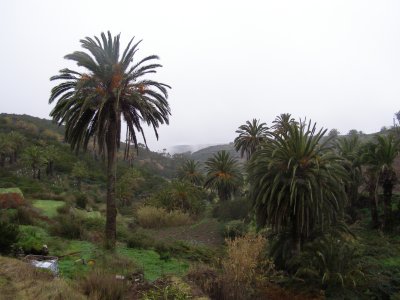 La Gomera