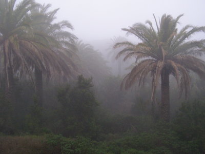 La Gomera