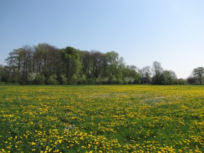 Utrecht