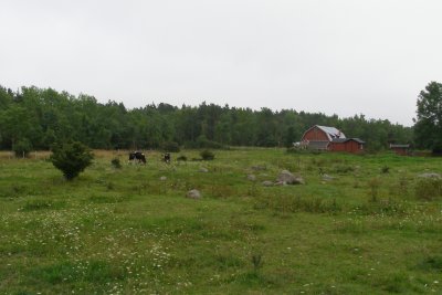 g4/38/989538/3/135886047.mrGWIYjF.jpg