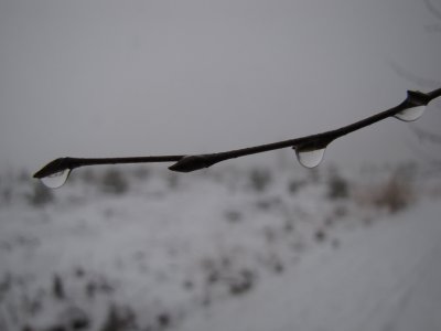 Sallandse Heuvelrug