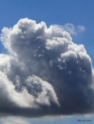 face_in_the_clouds_sig.jpg