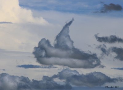 sailboat_cloud2sig.jpg