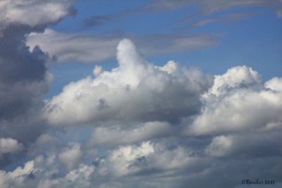 thumbs_up_cloudsig.jpg