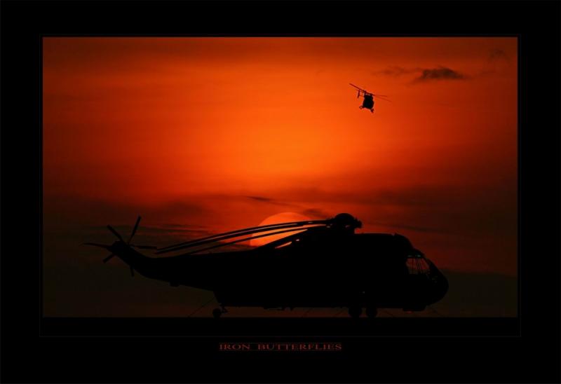 Sea King