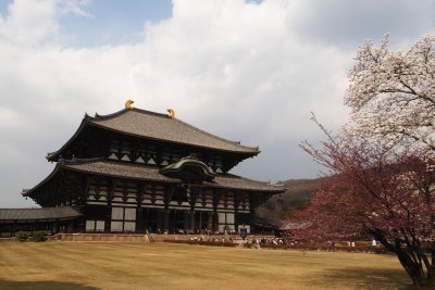 Nara / Kyoto