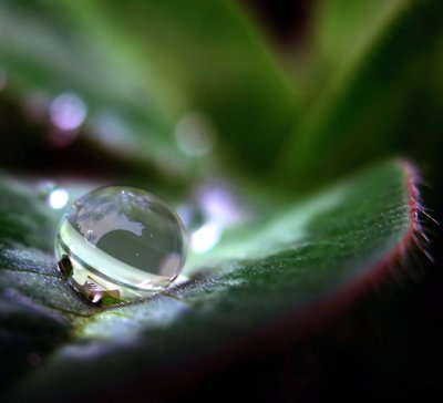 droplet-5.jpg