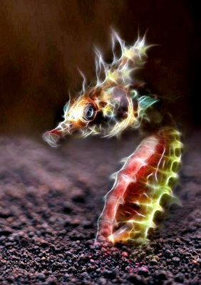 red-seahorse.jpg