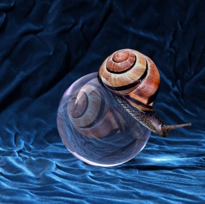 snail-ballf-blue.jpg