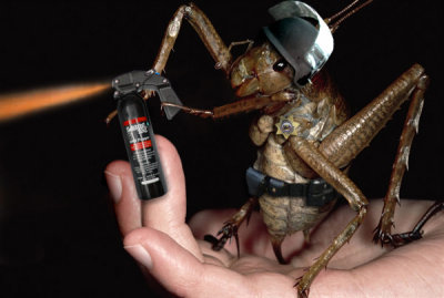 the grasshopper and the occupy ant spray