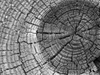 Circle1