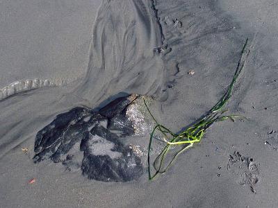 1rock.jpg
