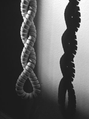 1cord.jpg