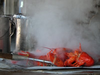 1boiling2.jpg