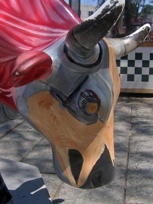 1cow.jpg