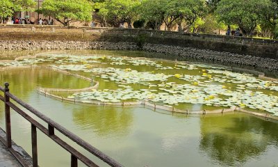 g4/39/331339/3/135756683.y8PxuOY2.jpg