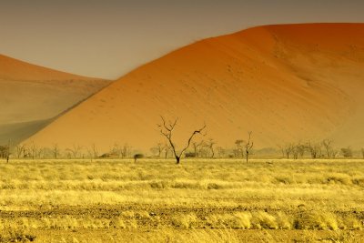 What the dune looks like if you were wearing multi-coloured glasses.