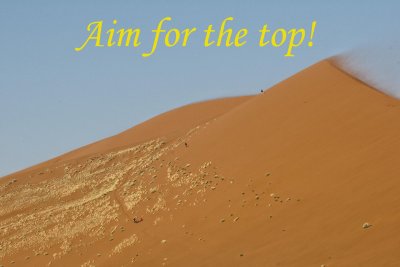 Our first sight of a dune-climber.