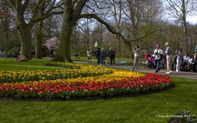 Keukenhof