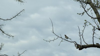 g4/39/331339/3/142122196.2G7QTHv7.jpg