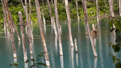 Shirogane Blue Pond: Day Two
